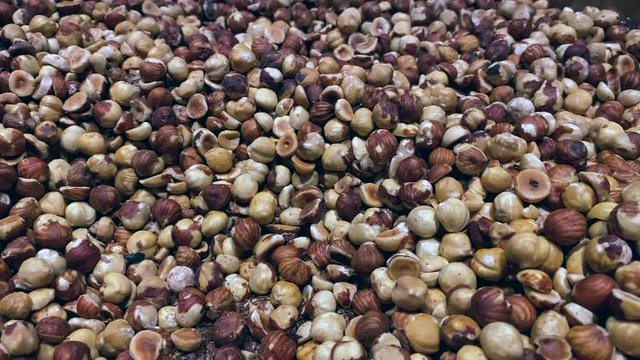 Hazelnuts Close-Up in a Chocolate Factory in Switzerland