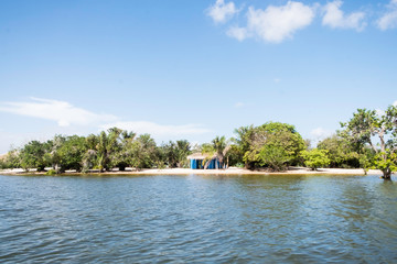 river beach in the amazon.