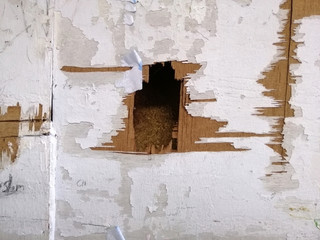 old wall with window