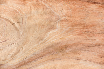 Old wood panel texture isolated background of wall room, Natural material design for interior and exterior, Brown wooden texture and background.