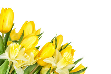 Bouquet of yellow tulips and daffodils isolated on a white background