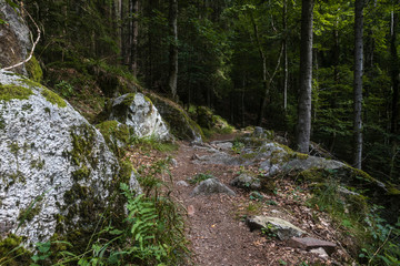 Hiking GR5 through the Vosges