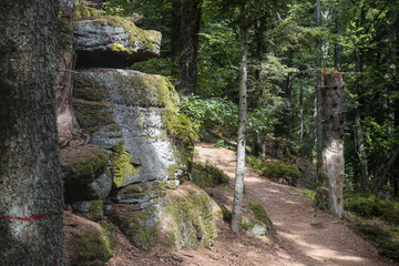 Hiking GR5 through the Vosges