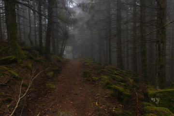 Hiking GR5 through the Vosges