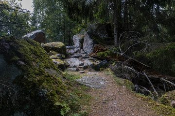 Hiking GR5 through the Vosges