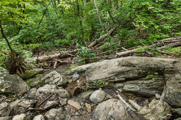 シェナンドー国立公園