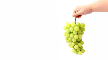 Hand holding green grapes on a white background.
