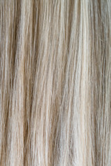 White and Brown Horse Hair Texture