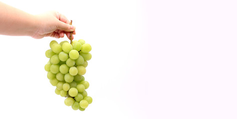 Hand holding green grapes on a white background.