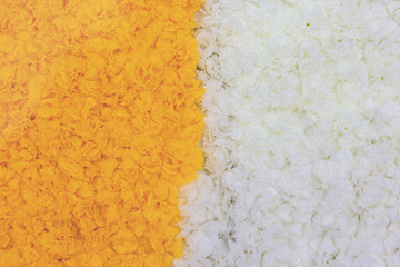 Top view Marigold flower in the garden or Tagetes erecta, American Marigold,Mexican marigold, African marigold