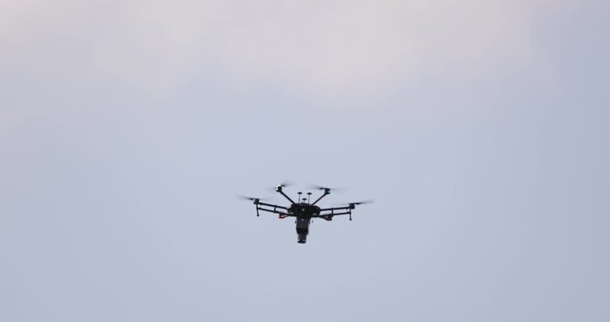 Application of trichogramma by drone for controlling the european corn borer