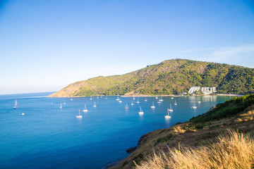 Obraz premium Phuket sea bay morning view with palm tree