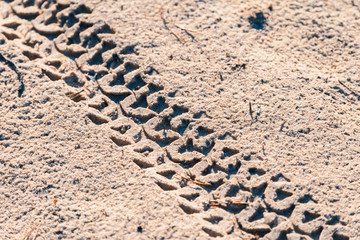 Beautiful track from the wheel of bicycle on the sand.