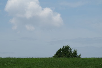 土手と空と雲