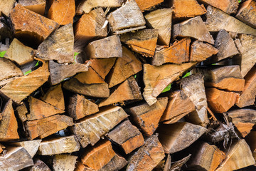 Firewood stacked on top of each other.