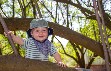 Baby climbing a tree