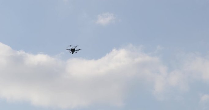 Application of trichogramma by drone for controlling the european corn borer