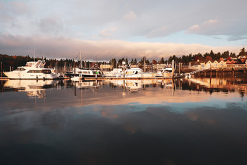 Boats parked at marina