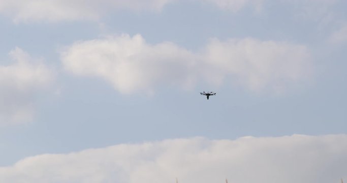 Application of trichogramma by drone for controlling the european corn borer