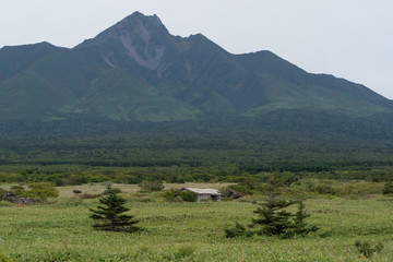 北海道利尻島　草原にある廃屋と利尻富士の景色