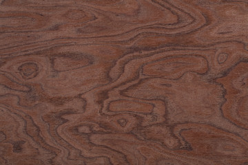 Fototapeta na wymiar Perfect brown elm-tree veneer background as part of your design. High quality wood texture.