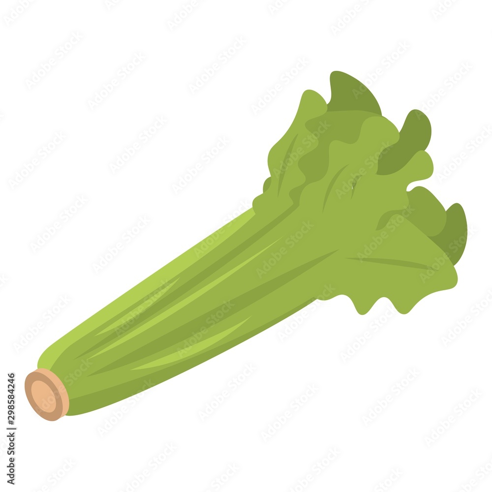 Poster eco celery leaf icon. isometric of eco celery leaf vector icon for web design isolated on white back
