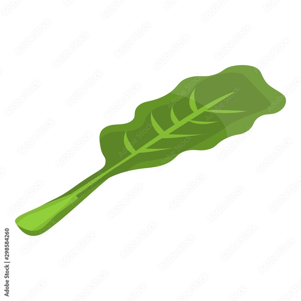 Aufkleber cabbage leaf icon. isometric of cabbage leaf vector icon for web design isolated on white background