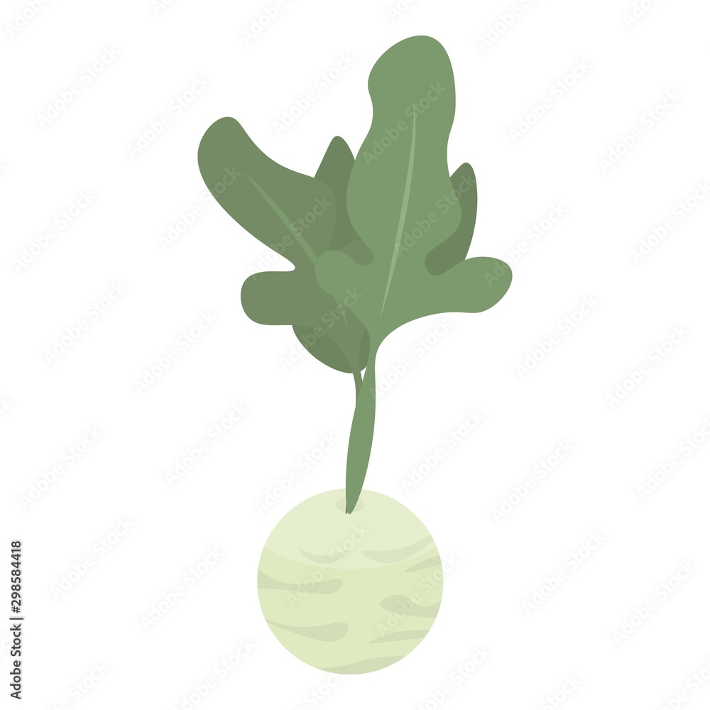 Poster garden cabbage icon. isometric of garden cabbage vector icon for web design isolated on white backgr