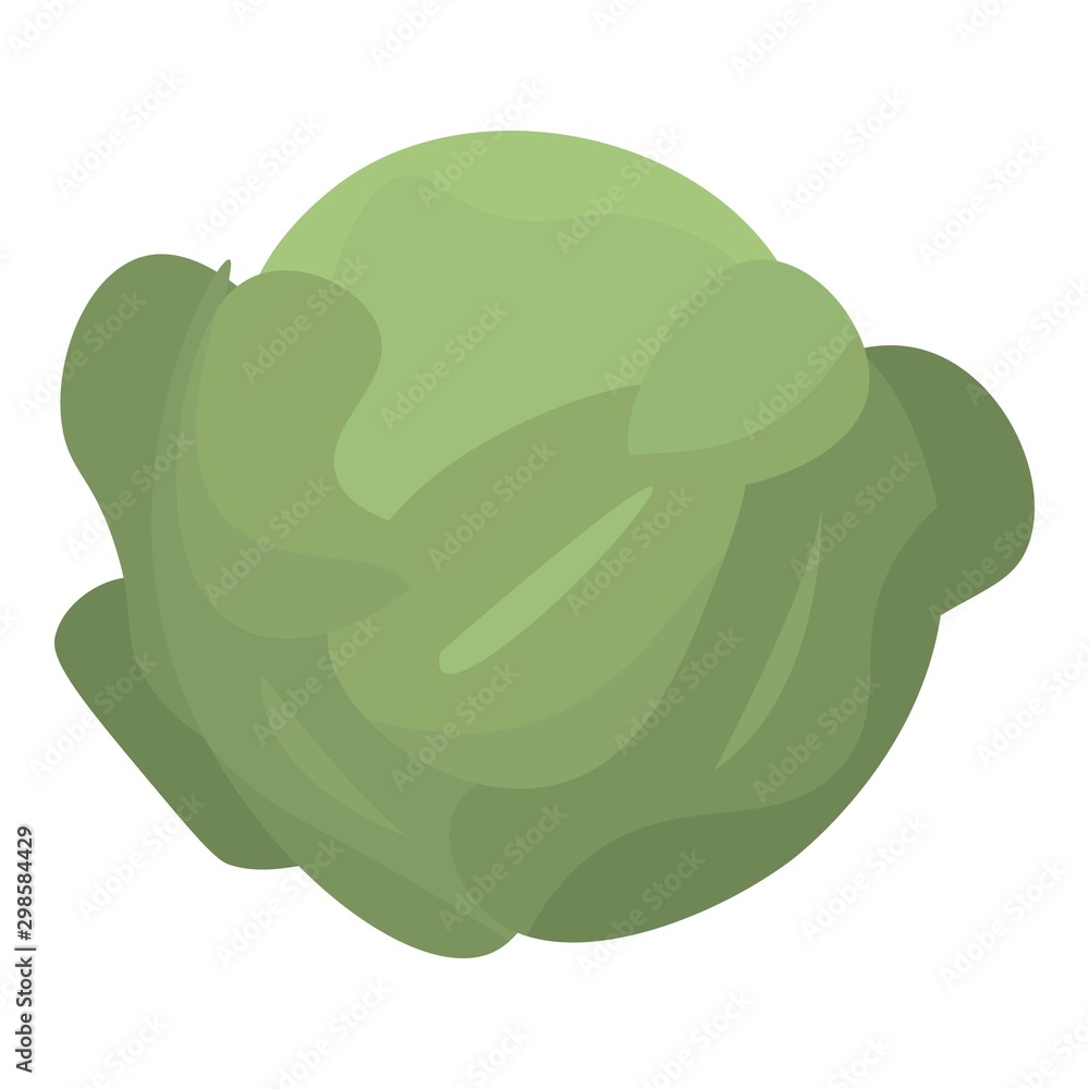 Poster green leaf cabbage icon. isometric of green leaf cabbage vector icon for web design isolated on whit