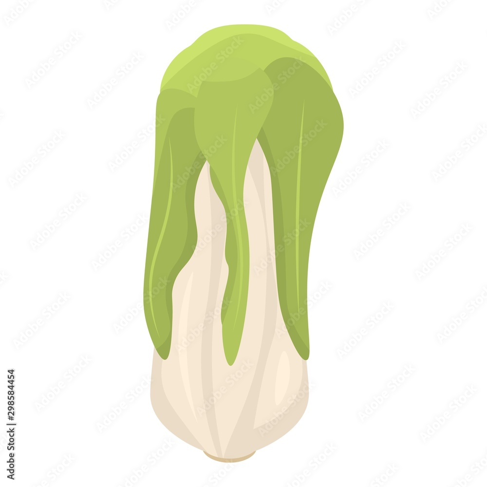 Aufkleber vegan cabbage icon. isometric of vegan cabbage vector icon for web design isolated on white backgrou
