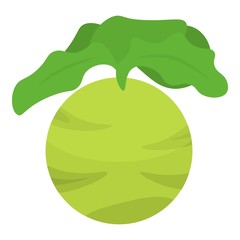 Green eco cabbage icon. Isometric of green eco cabbage vector icon for web design isolated on white background