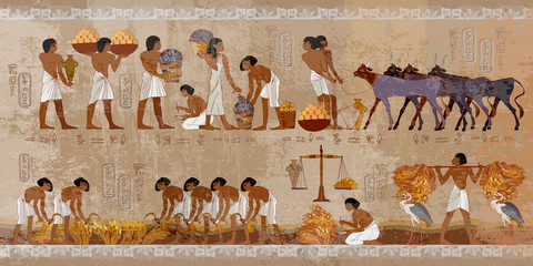 Fototapeta Life in ancient Egypt, frescoes. Egyptians history art. Agriculture, workmanship, fishery, farm. Hieroglyphic carvings on exterior walls of an old temple obraz