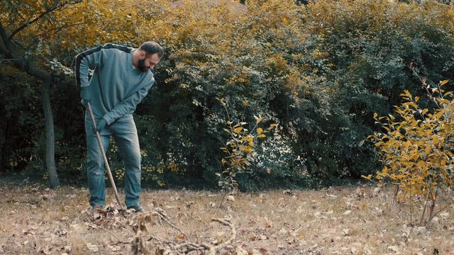 garden worker raking dry leaves in the garden with a rake in cold weather