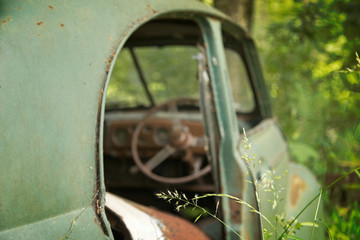 Old Car in the Forrest