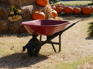 Red wheelbarrow with haybales and pumpkins in the background