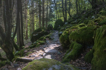 Hiking GR5 through the Vosges