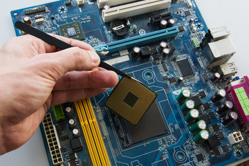 Engineer Technician holds in his hand with the tweezers CPU microprocessor and plug in computer to...