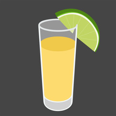 Tequila shot with lime slice. Mexican alcohol  beverage. Drink glass isolated on gray background. Vector illustration.