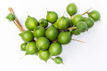 Macadamia nuts bunch isolated on white background.