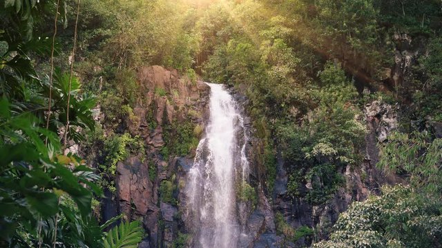 Waterfall in Tropical Paradise (Loop)