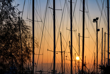 Silhouettes of masts and trees at sunset .