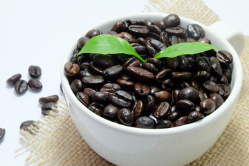 Coffee beans in a white cup with green leaves on white background.