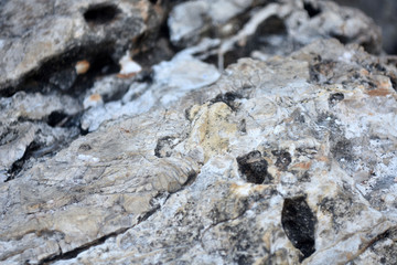 Beautiful texture of the light stone is photographed in close-up. Details of rock nature texture. A rocky ground surface.