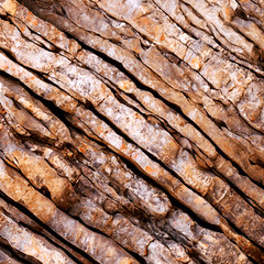 Textured layers and cracks in the rock on cliff face. Nature abstract background.