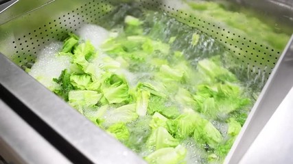 Machine washing veggie in food factory or kitchen.