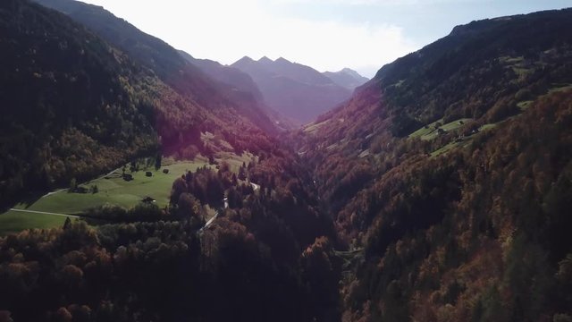 Pine forest and mountains in Switzerland, autumn season, drone flying backwards