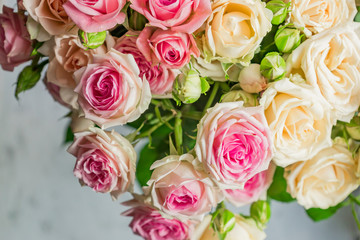 Fototapeta na wymiar Background of bouquet of pink blooming rose bush
