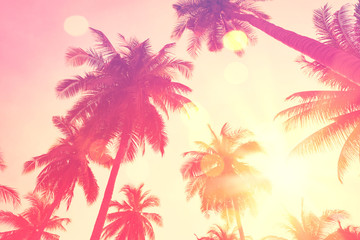Fototapeta na wymiar Tropical palm tree with colorful bokeh sun light on sunset sky cloud abstract background.