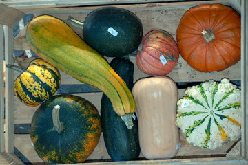 vegetables in box, sweden