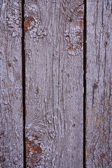 Vintage wood background with peeling paint, purple color